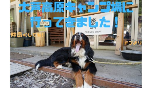 【サイト情報満載！】2022.5.2 大芦高原キャンプ場へ行った ブログ